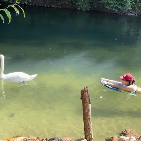 Gite De Vacances Jardin Monet Giverny Vernon Sainte-Genevieve-les-Gasny Luaran gambar