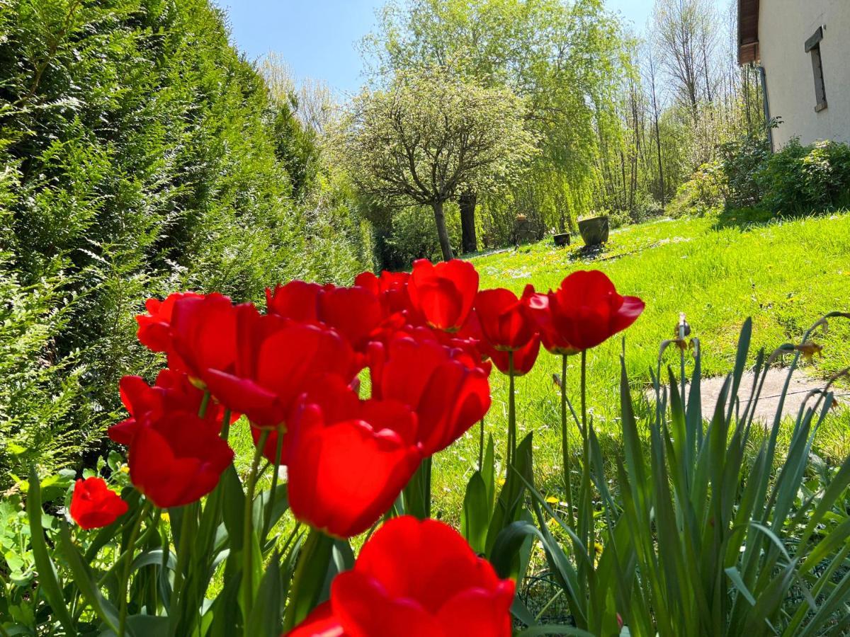 Gite De Vacances Jardin Monet Giverny Vernon Sainte-Genevieve-les-Gasny Luaran gambar